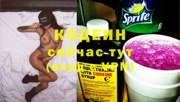 стаф Инсар