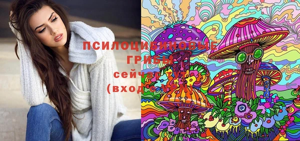 твердый Абинск