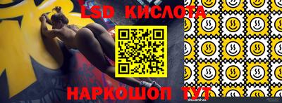 ГАЛЛЮЦИНОГЕННЫЕ ГРИБЫ Кандалакша
