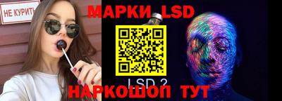 МДПВ Канаш
