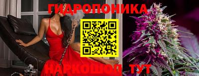 ГАЛЛЮЦИНОГЕННЫЕ ГРИБЫ Кандалакша