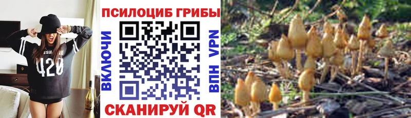 Галлюциногенные грибы ЛСД  закладки  Кызыл 