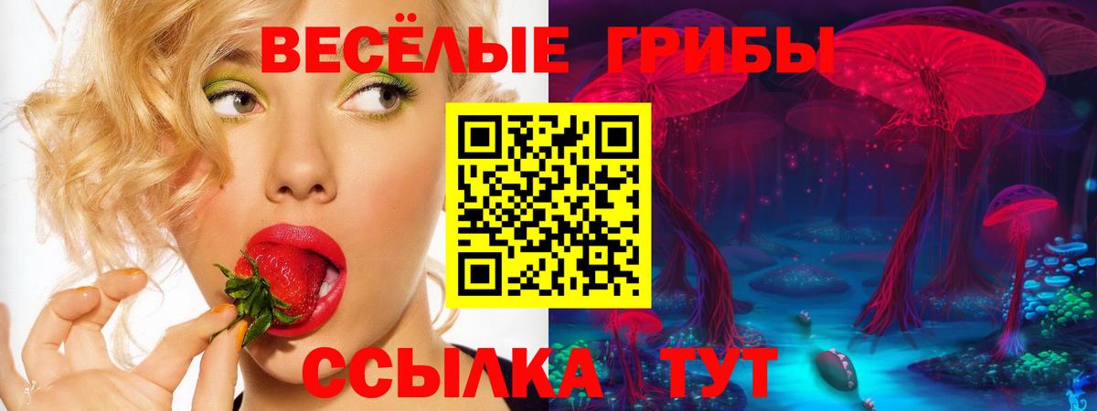 Псилоцибиновые грибы Magic Shrooms Кызыл